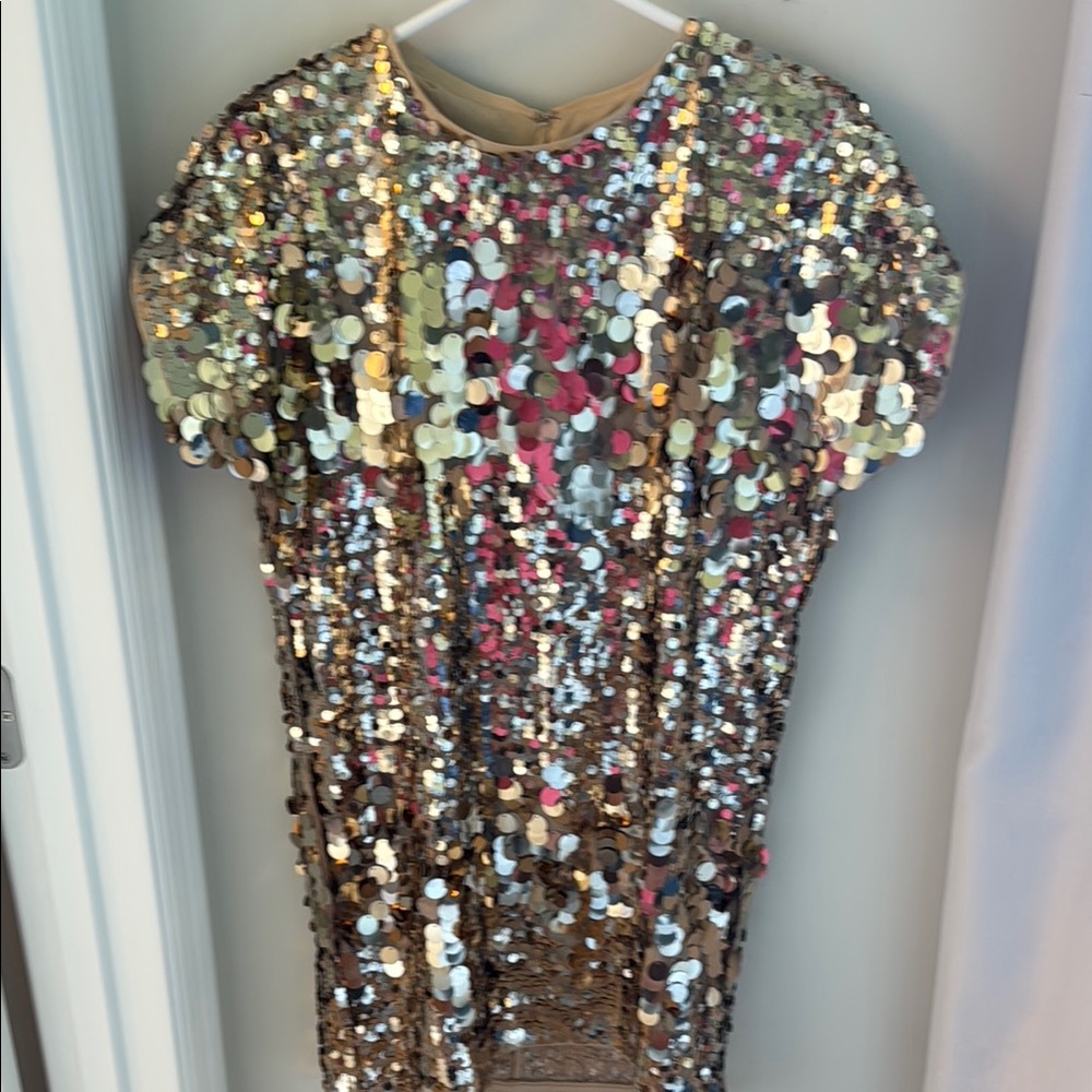 Express Beige Sequin Dress